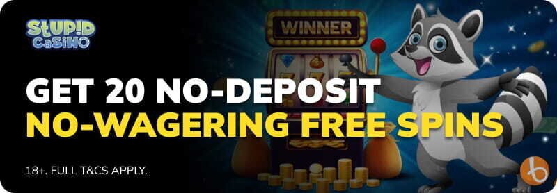 Stupid Casino's exclusive bonus offer