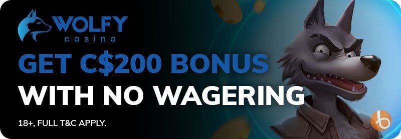 Wolfy Casino bonus offer