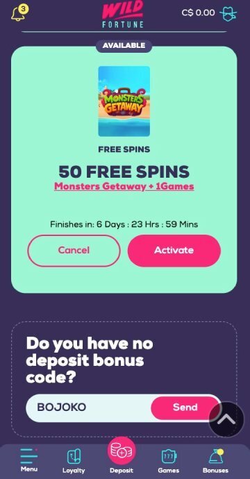 Wild Fortune bonus code step3