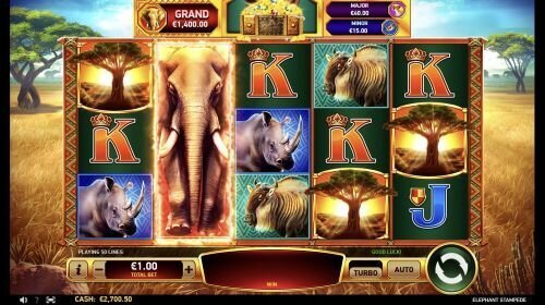 Elephant Stampede is a popular RubyPlay slot