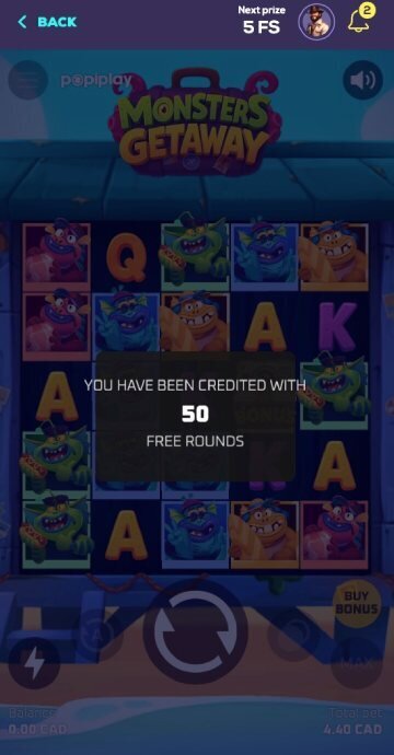 Wild Fortune bonus code step4