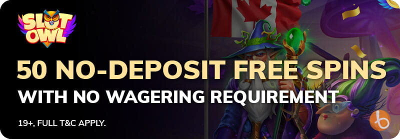 Bonus banner for Slot Owl Casino