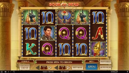 Book of Dead slot by Play'n GO