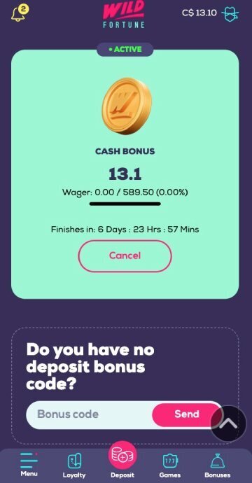 Wild Fortune bonus code step5