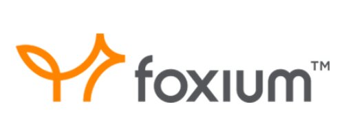 Foxium game provider logo