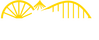 Casino Rollino cover