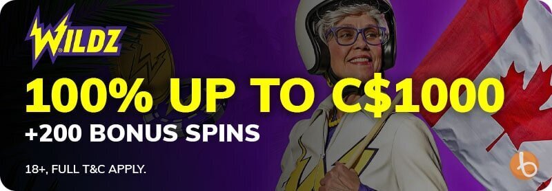 Wildz Casino bonus offer