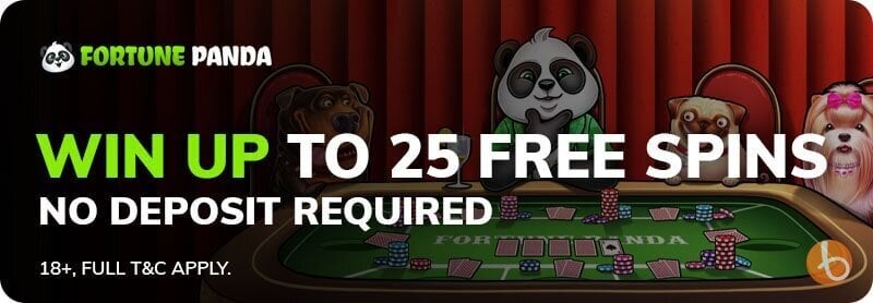 Fortune Panda Casino bonus offer