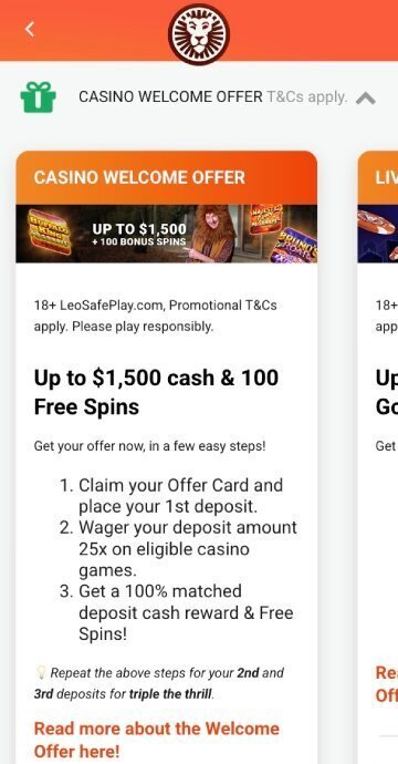 Where to enter LeoVegas promo code