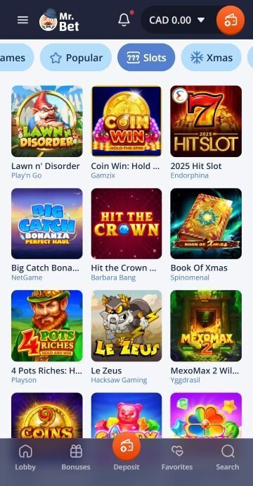 Mr.Bet Casino on mobile